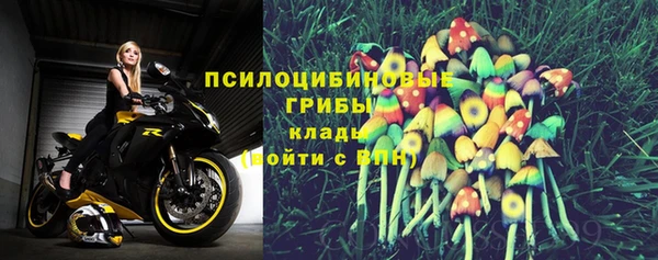 мескалин Няндома