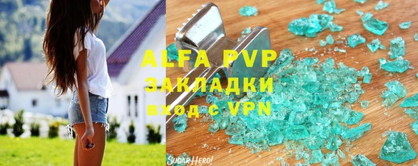a pvp Новозыбков