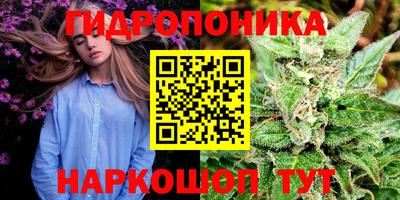 PSILOCYBIN Бийск