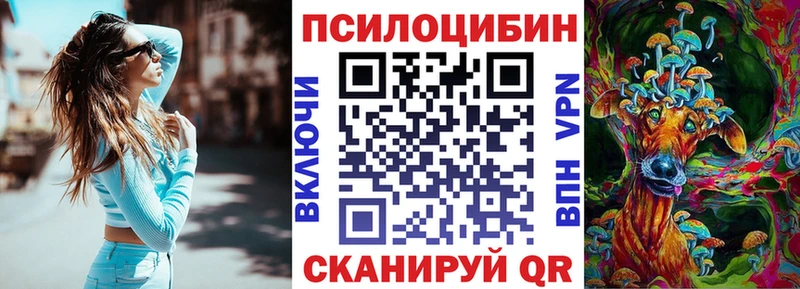 Псилоцибиновые грибы Cubensis  где продают наркотики  blacksprut ONION  Курчатов 