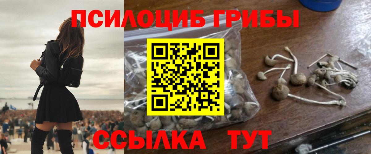 Галлюциногенные грибы Magic Shrooms Курчатов