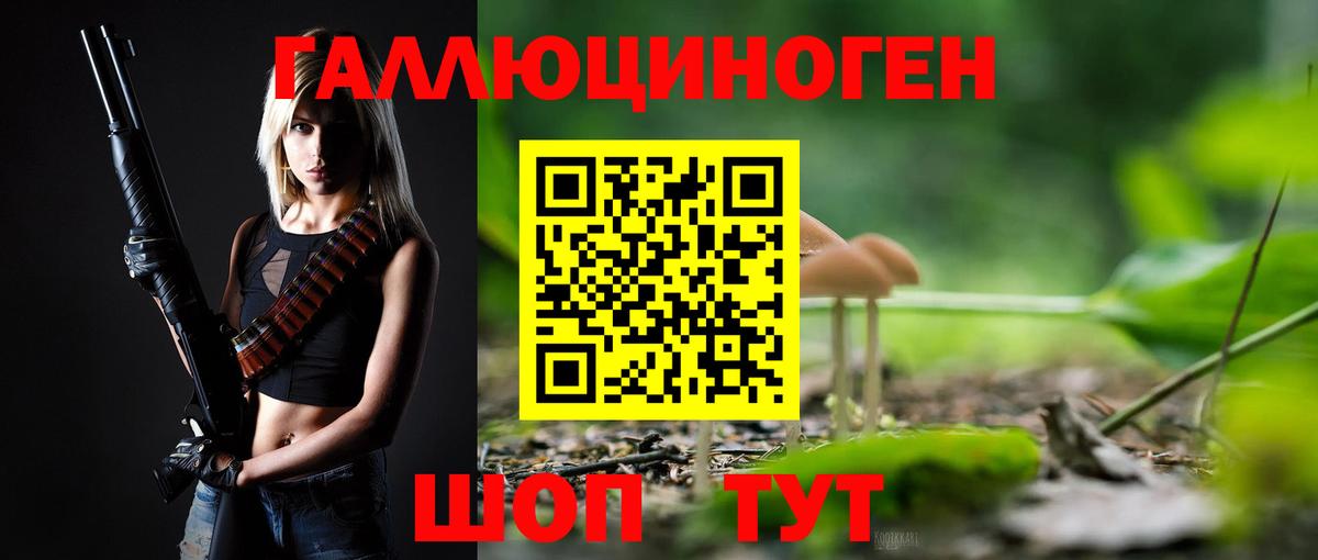 Псилоцибиновые грибы мицелий Курчатов